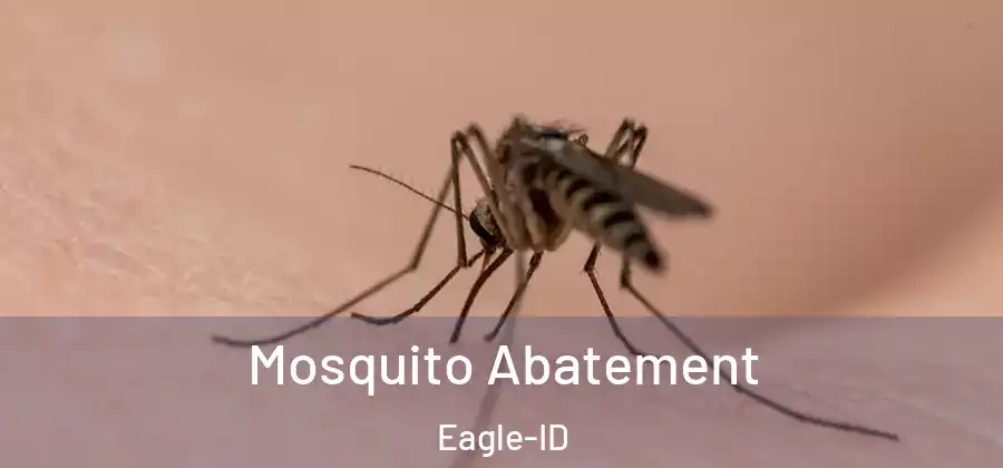  Mosquito Abatement Eagle-ID
