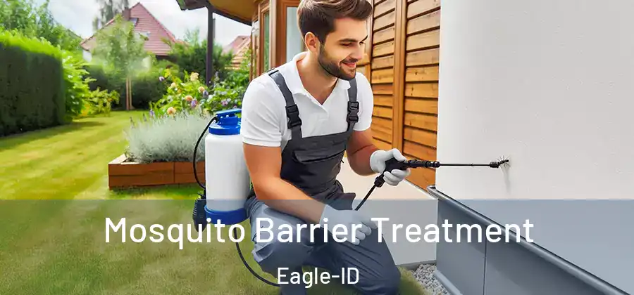 Mosquito Barrier Treatment Eagle-ID