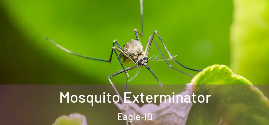 Mosquito Exterminator Eagle-ID