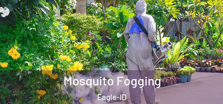 Mosquito Fogging Eagle-ID