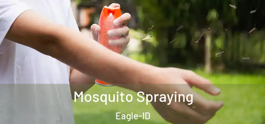  Mosquito Spraying Eagle-ID