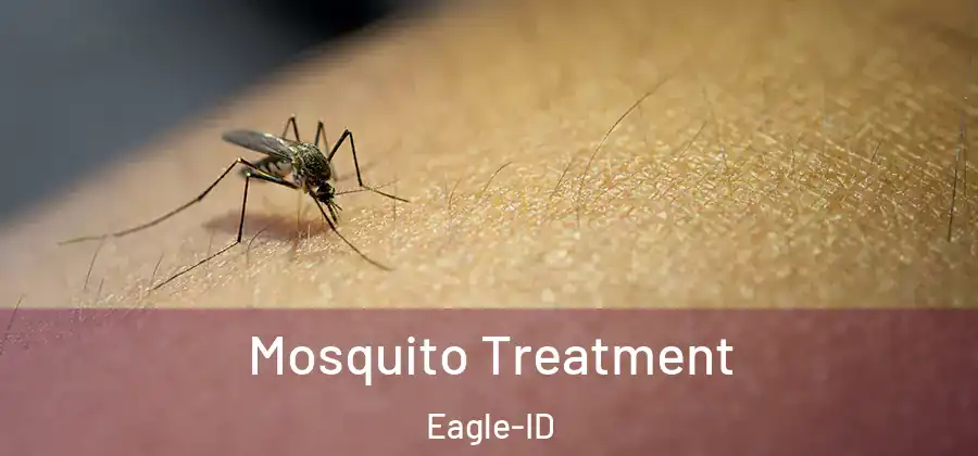 Mosquito Treatment Eagle-ID