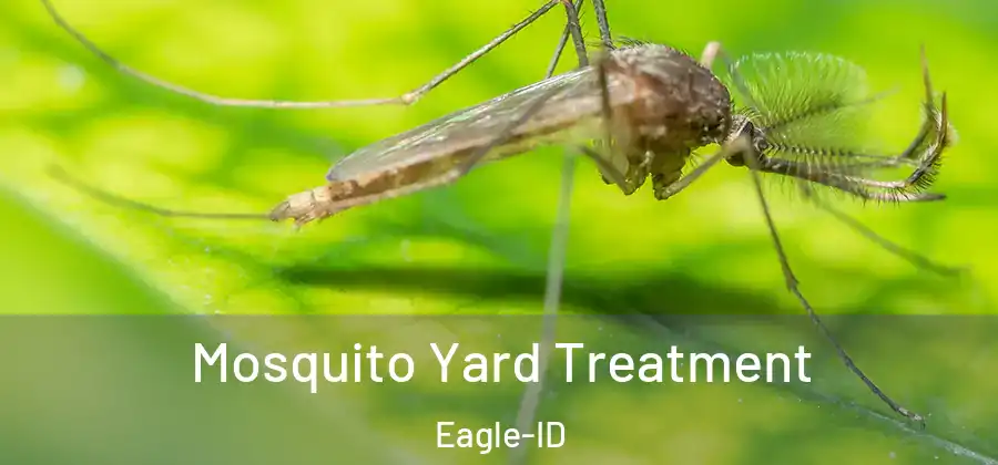  Mosquito Yard Treatment Eagle-ID