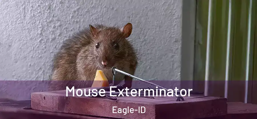 Mouse Exterminator Eagle-ID