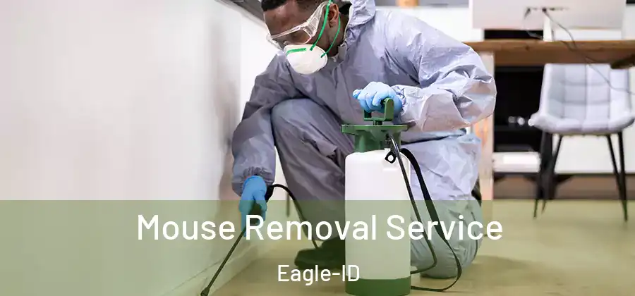Mouse Removal Service Eagle-ID