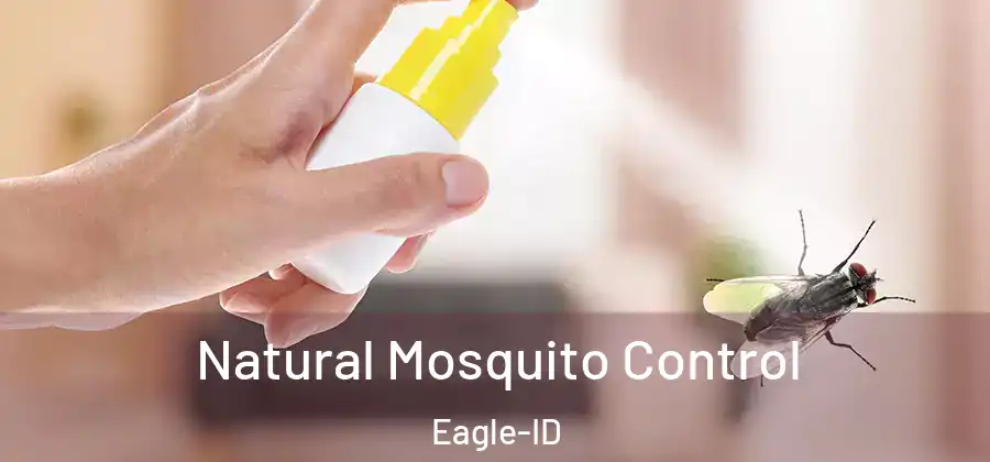 Natural Mosquito Control Eagle-ID