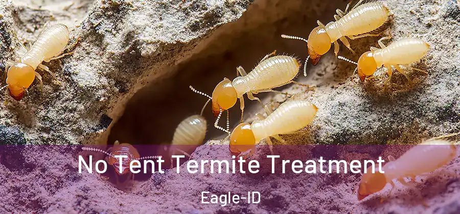 No Tent Termite Treatment Eagle-ID
