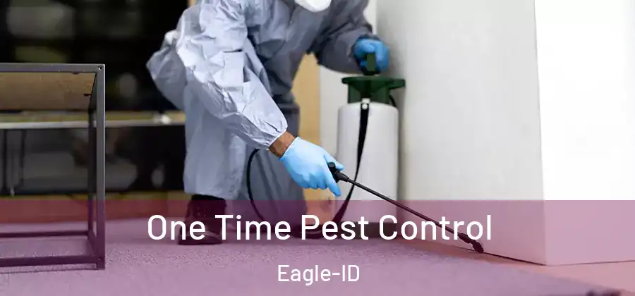 One Time Pest Control Eagle-ID