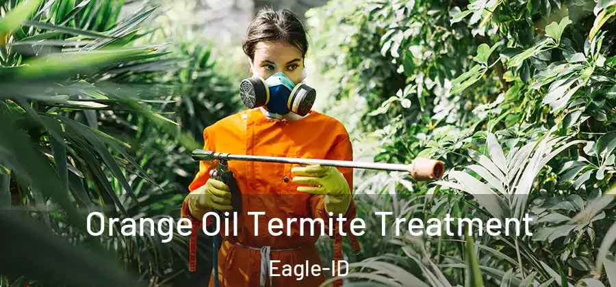 Orange Oil Termite Treatment Eagle-ID