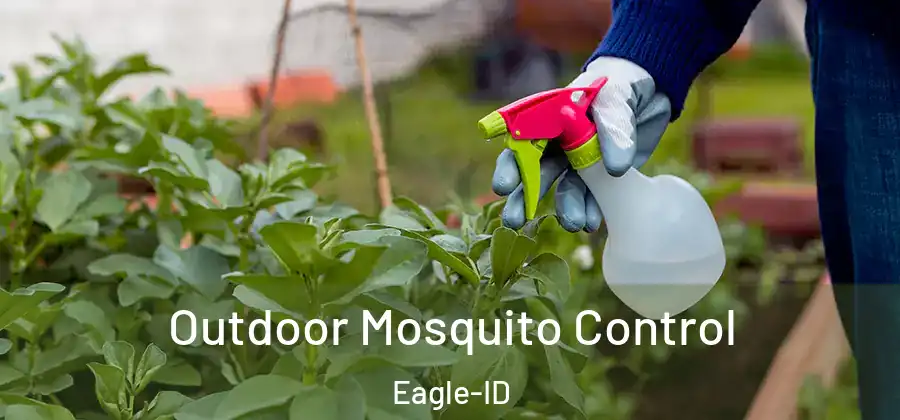  Outdoor Mosquito Control Eagle-ID