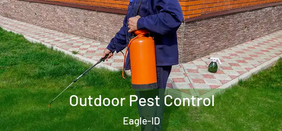 Outdoor Pest Control Eagle-ID