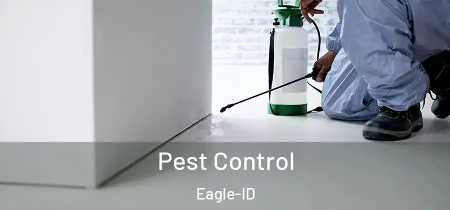  Pest Control Eagle-ID