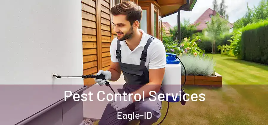 Pest Control Services Eagle-ID