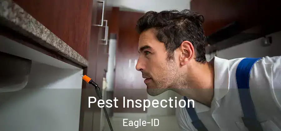 Pest Inspection Eagle-ID
