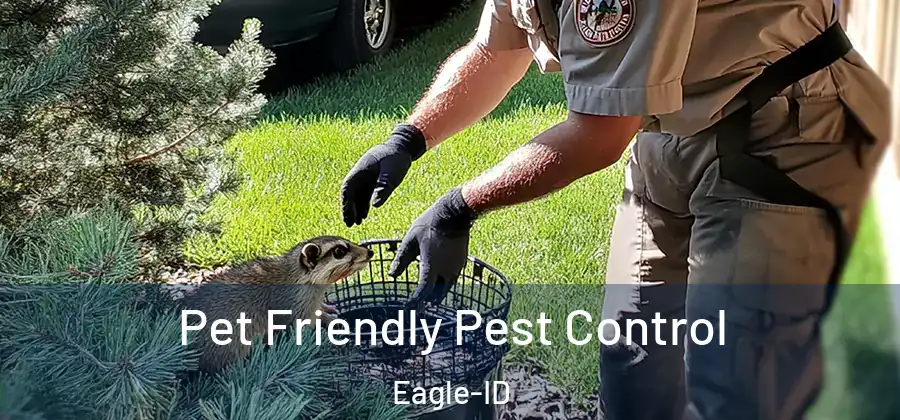 Pet Friendly Pest Control Eagle-ID