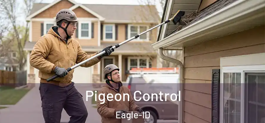  Pigeon Control Eagle-ID