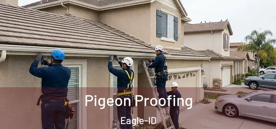 Pigeon Proofing Eagle-ID