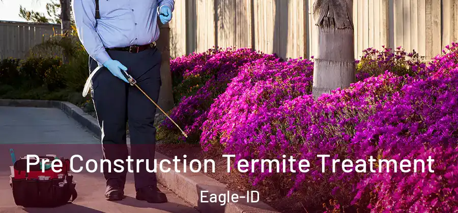 Pre Construction Termite Treatment Eagle-ID