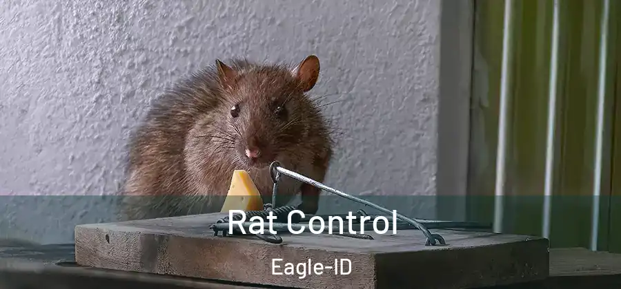  Rat Control Eagle-ID