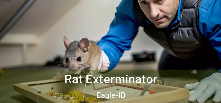  Rat Exterminator Eagle-ID