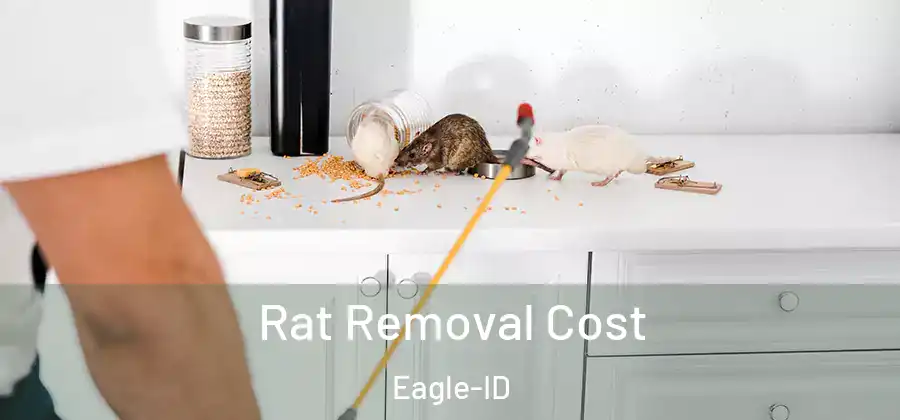  Rat Removal Cost Eagle-ID