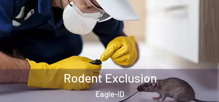  Rodent Exclusion Eagle-ID