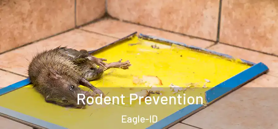 Rodent Prevention Eagle-ID