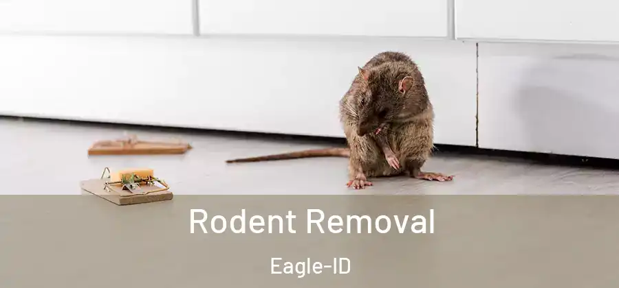 Rodent Removal Eagle-ID