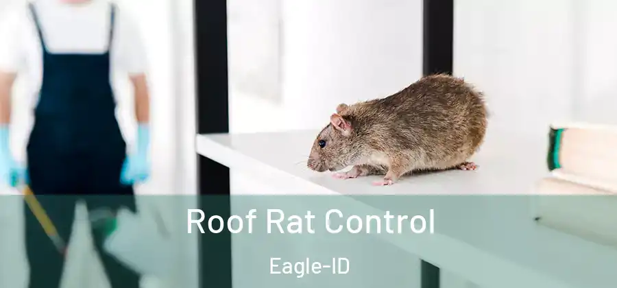 Roof Rat Control Eagle-ID