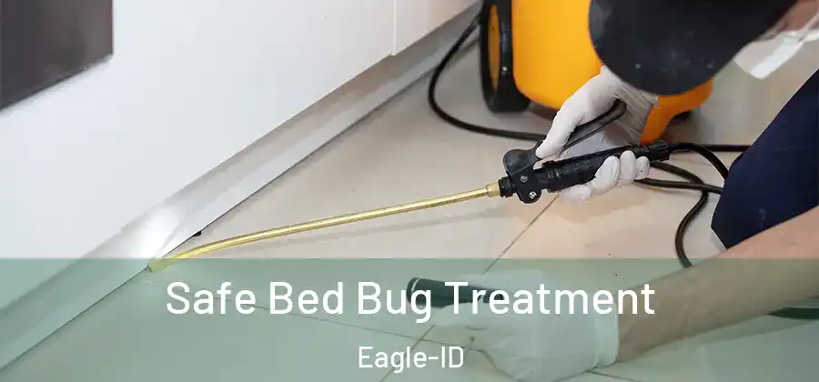 Safe Bed Bug Treatment Eagle-ID
