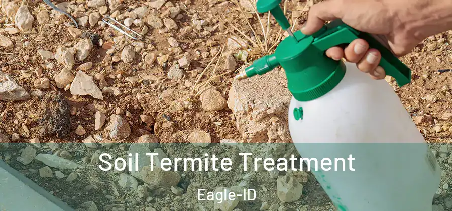  Soil Termite Treatment Eagle-ID