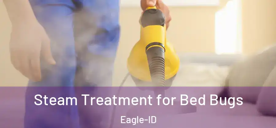 Steam Treatment for Bed Bugs Eagle-ID