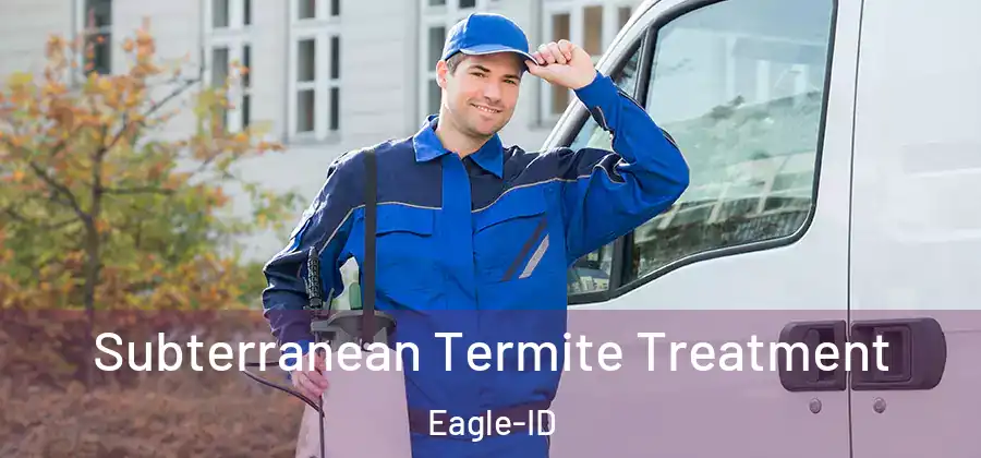 Subterranean Termite Treatment Eagle-ID
