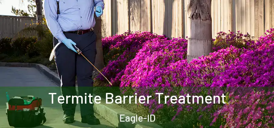Termite Barrier Treatment Eagle-ID