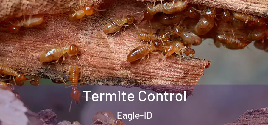  Termite Control Eagle-ID