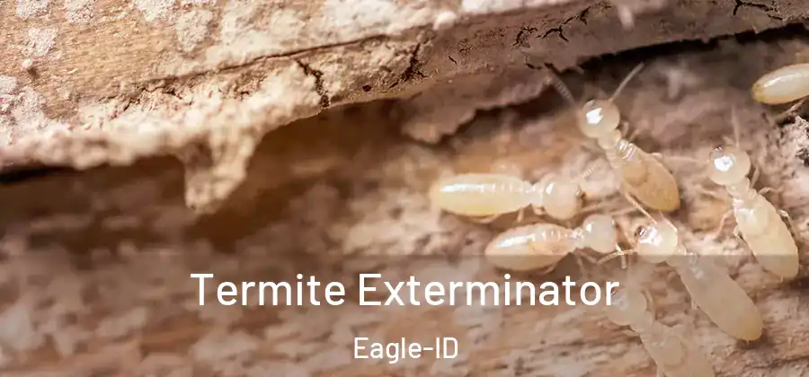 Termite Exterminator Eagle-ID
