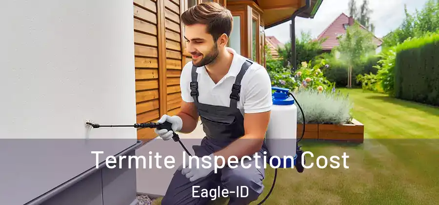 Termite Inspection Cost Eagle-ID