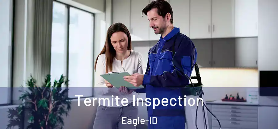  Termite Inspection Eagle-ID
