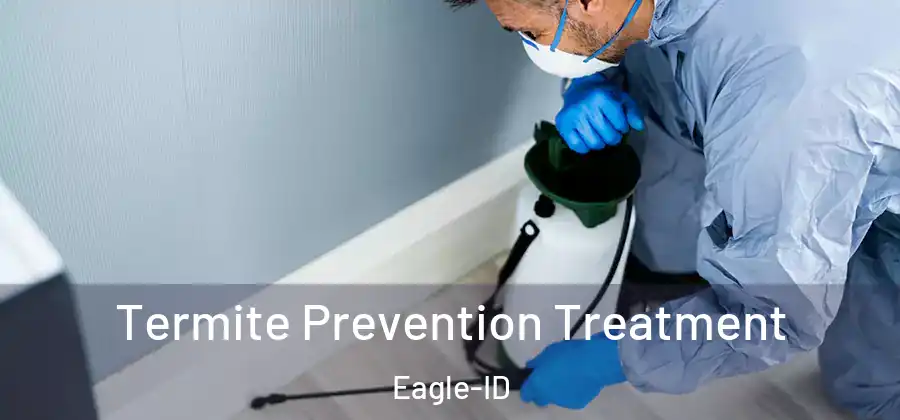 Termite Prevention Treatment Eagle-ID