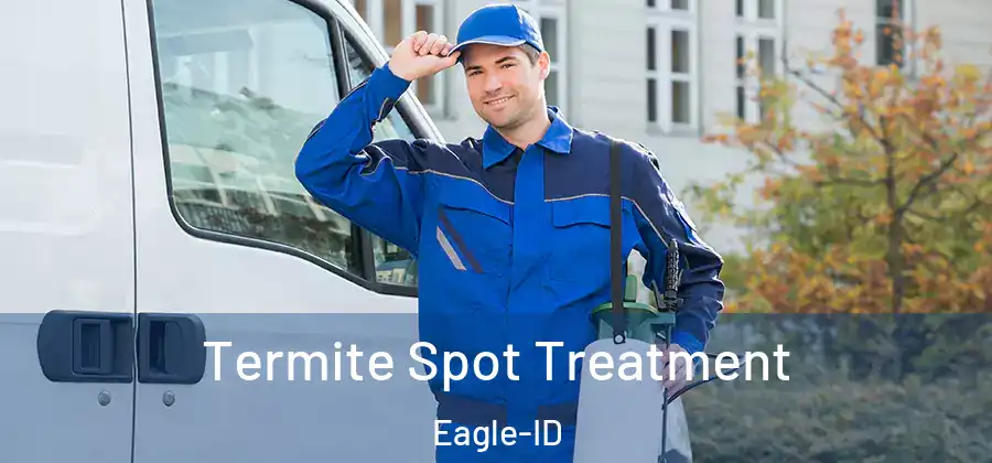  Termite Spot Treatment Eagle-ID
