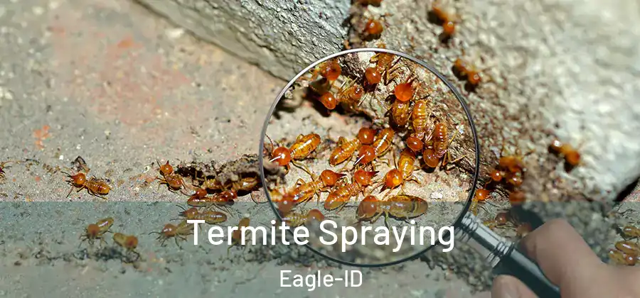  Termite Spraying Eagle-ID