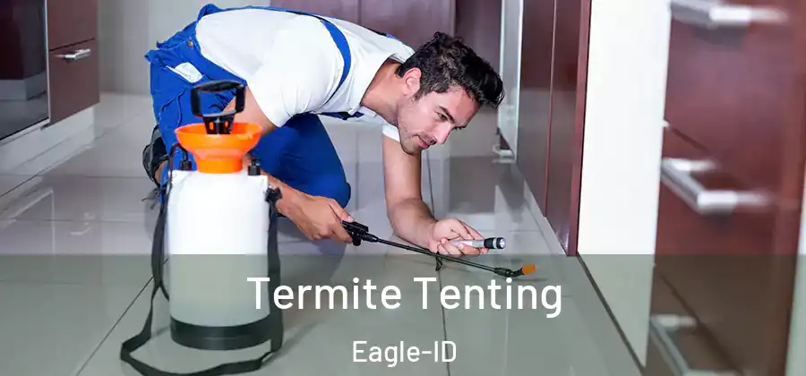  Termite Tenting Eagle-ID