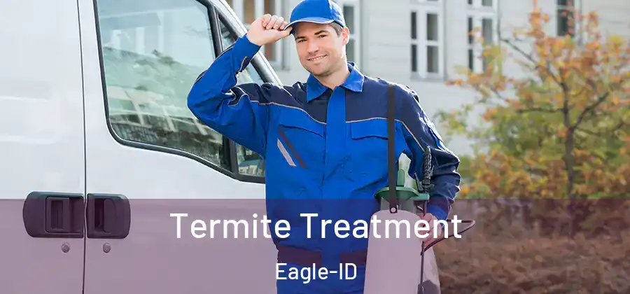 Termite Treatment Eagle-ID