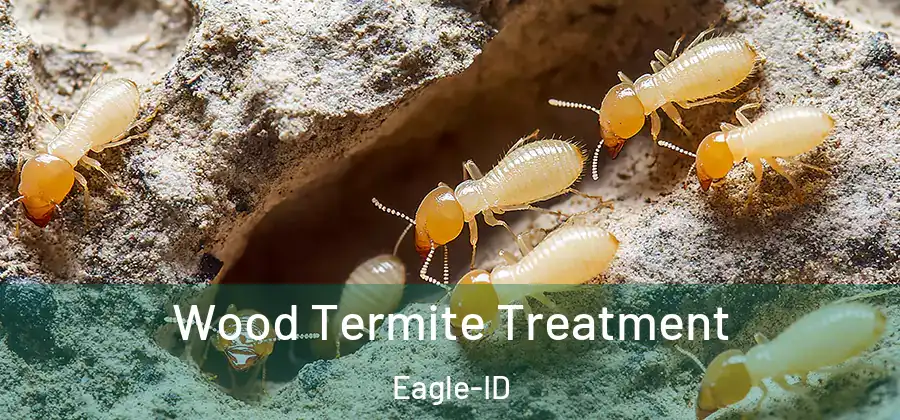  Wood Termite Treatment Eagle-ID