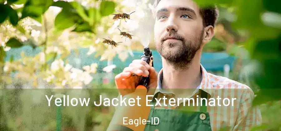 Yellow Jacket Exterminator Eagle-ID