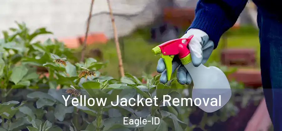 Yellow Jacket Removal Eagle-ID